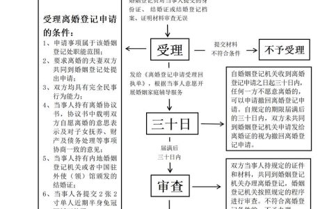 果树苗出口手续办理全攻略：从检疫到报关的6个核心步骤与苗木采购质量保障
