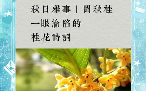 桂花香最经典的一句：从古诗词意境到桂花树家庭养护全指南