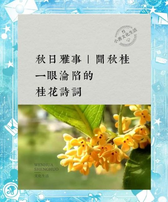 桂花香最经典的一句：从古诗词意境到桂花树家庭养护全指南