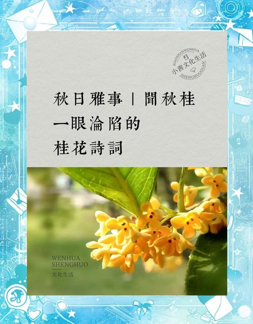 桂花香最经典的一句:从古诗词意境到桂花树家庭养护全指南 桂花香最经典的一句:从古诗词意境到桂花树家庭养护全指南