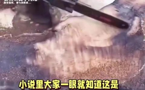 金丝楠木为什么这么贵？揭秘其稀缺性与收藏价值