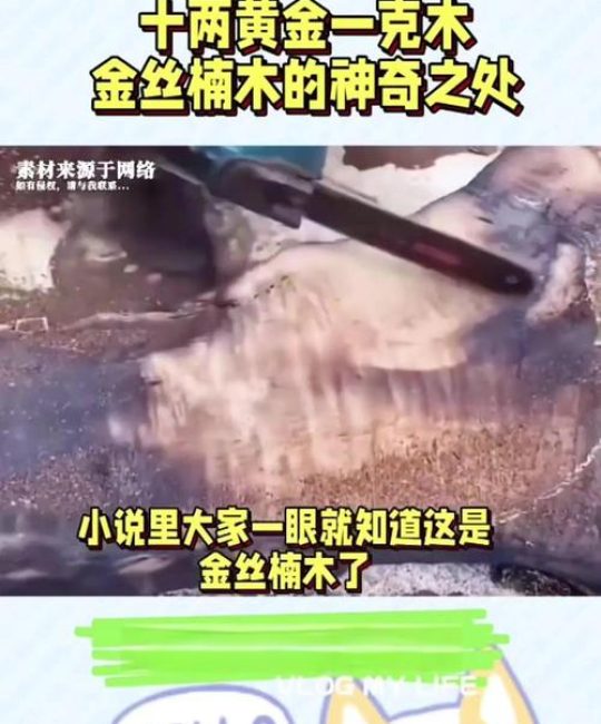 金丝楠木为什么这么贵？揭秘其稀缺性与收藏价值