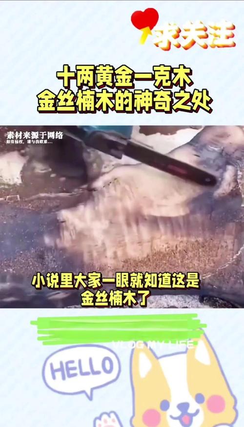 金丝楠木为什么这么贵？揭秘其稀缺性与收藏价值
