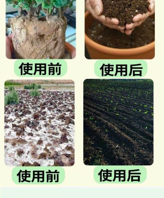 改善土壤板结用什么肥料？家庭园艺土壤改良实操指南