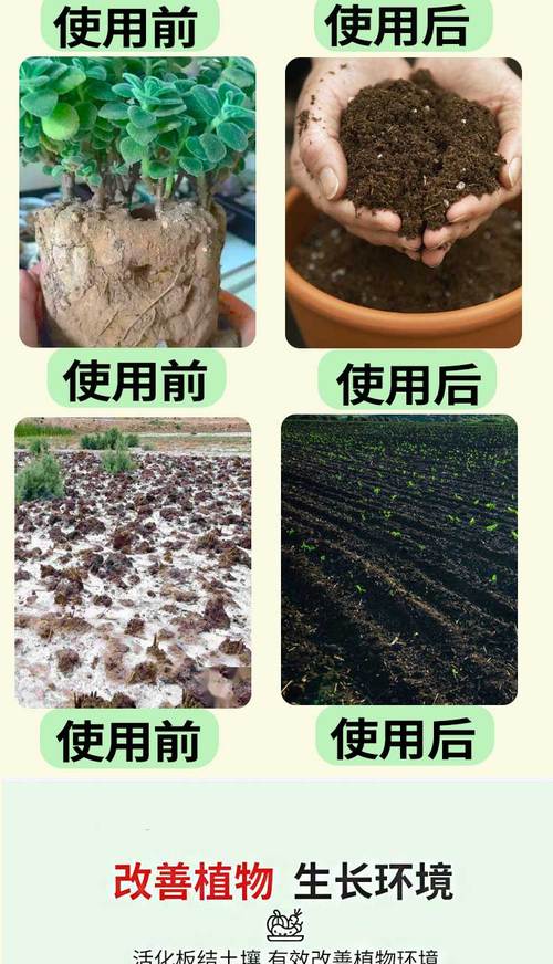 改善土壤板结用什么肥料?家庭园艺土壤改良实操指南 改善土壤板结用什么肥料?家庭园艺土壤改良实操指南