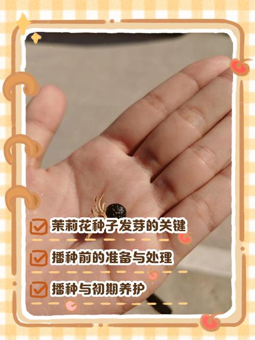 花草籽怎么种?从播种到成苗的完整操作指南(附具体参数) 七、成活注意事项