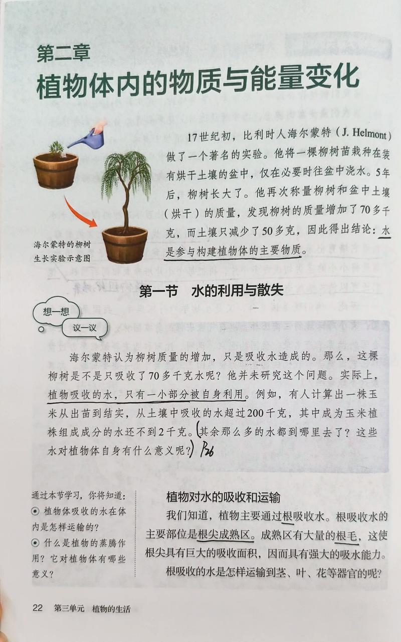 植物吸收的大部分水主要用于什么作用? 二、植物用水的主要去向有哪些?