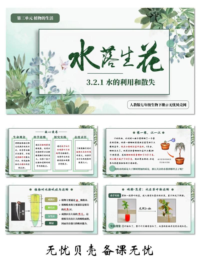 植物吸收的大部分水主要用于什么作用? 四、和食用植物、药用植物有关的一个常识