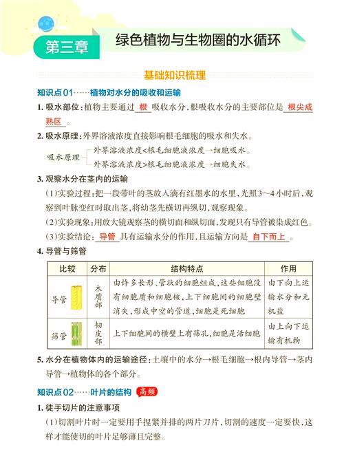 植物吸收的大部分水主要用于什么作用? 五、常见误区