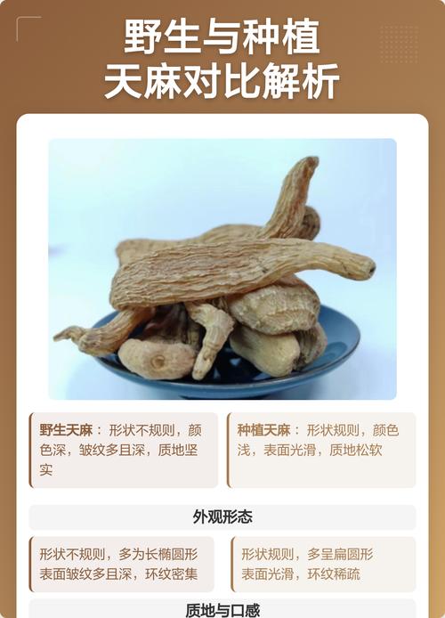 天麻南方可以种植吗?——南方地区天麻栽培适应性全解析 5. 适种区域速查表(南方重点省份)