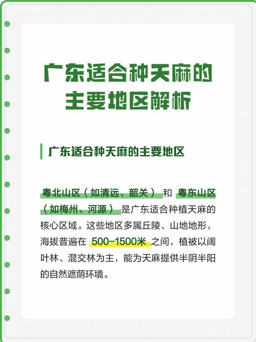 天麻南方可以种植吗?——南方地区天麻栽培适应性全解析 总结