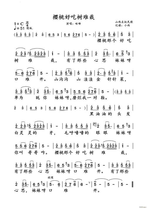 樱桃好吃树难栽?掌握这5个关键步骤,轻松实现家庭种植 樱桃好吃树难栽?掌握这5个关键步骤,轻松实现家庭种植