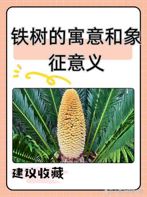 龙血树象征着什么?从传统文化到科学养护的全方位解读 结语