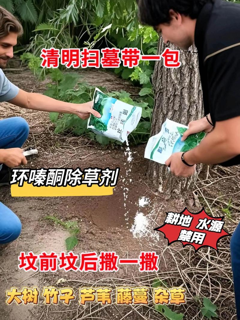 什么除草剂能杀死杂树杂草?园艺专家推荐方案与安全使用指南 三、安全使用与注意事项