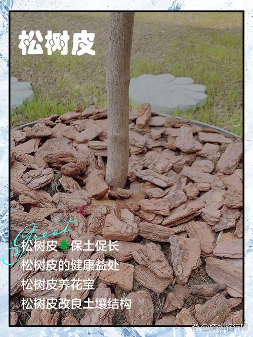 松树皮可以种月季吗?先说结论:可以用,但不能单独用 6. 最后给你一个直接能用的配方