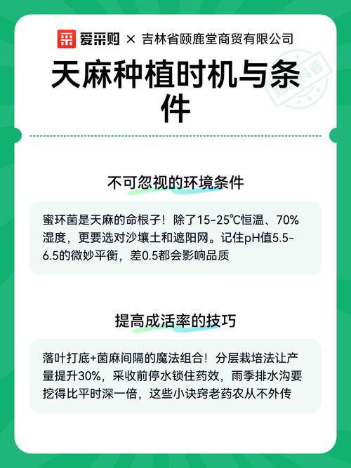 天麻什么时候种植?先看时间,再看温度 二、土壤环境:先把地选对