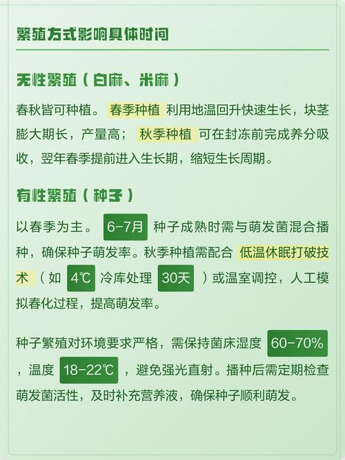 天麻什么时候种植?先看时间,再看温度 四、栽植深度:埋对深度,天麻才稳