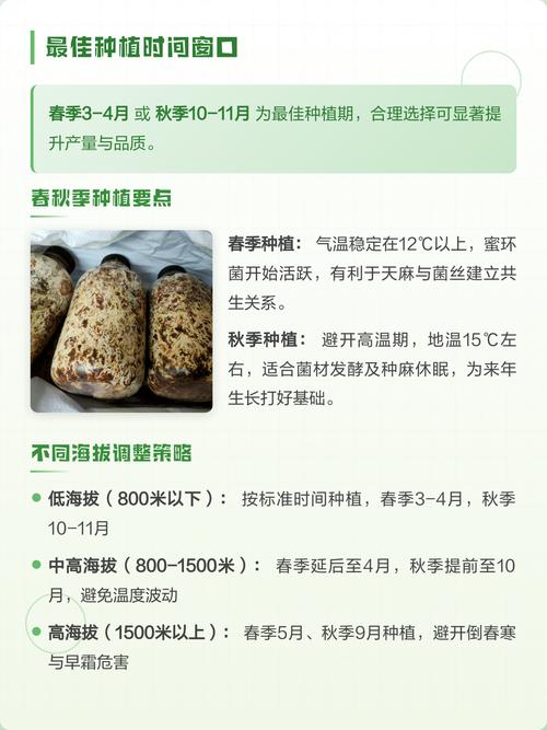 天麻什么时候种植?先看时间,再看温度 七、成活注意事项:看这几个信号就够了