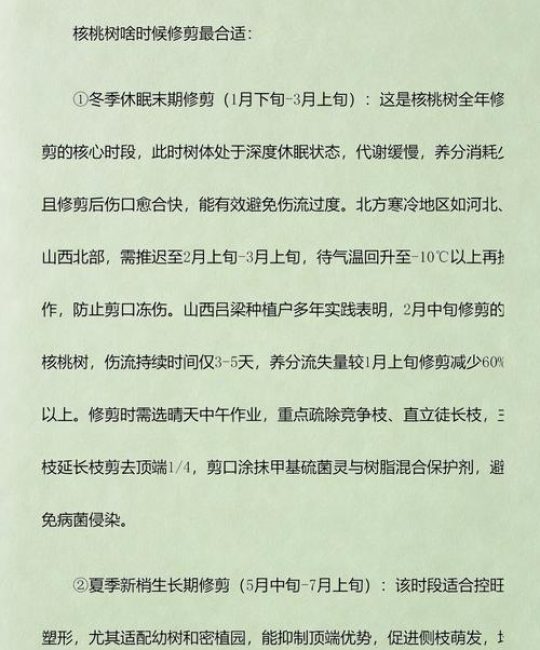 核桃树什么时候修剪？掌握三个关键时间点，果农增产增收的核心技巧