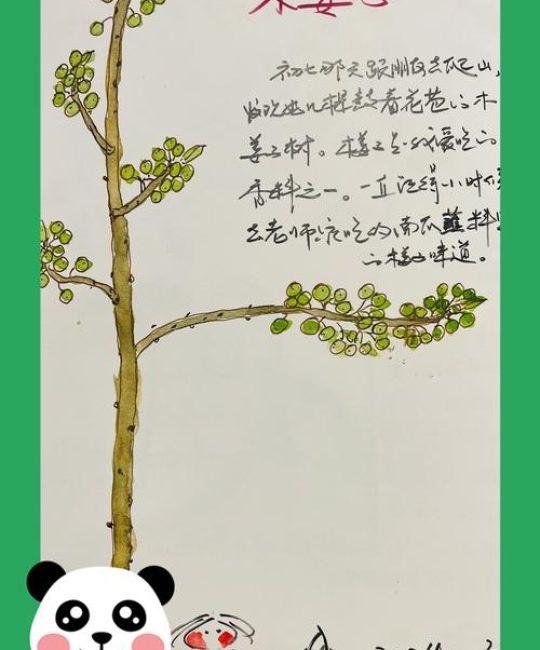 庭院里的宝藏香料——木姜子：从种植到食用的健康指南