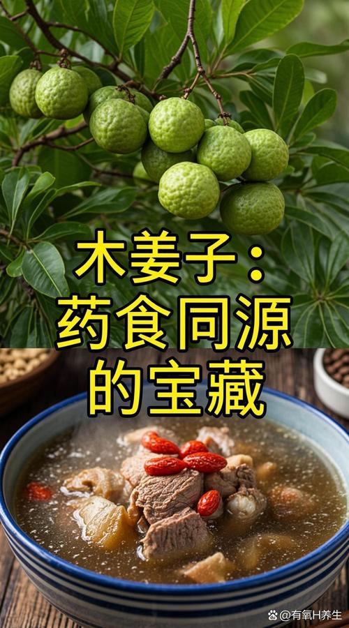 庭院里的宝藏香料——木姜子:从种植到食用的健康指南 三、食用注意事项:安全第一