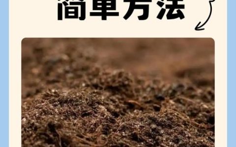 如何将土壤变成酸性土壤：家庭园艺改良全攻略