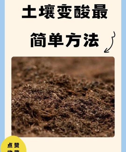 如何将土壤变成酸性土壤：家庭园艺改良全攻略