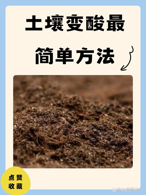 如何将土壤变成酸性土壤:家庭园艺改良全攻略 如何将土壤变成酸性土壤:家庭园艺改良全攻略