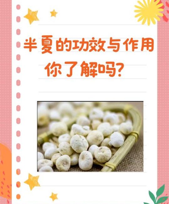 半夏种植技术及亩收益：从选种到采收的完整实操指南