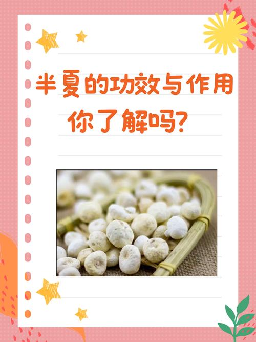 半夏种植技术及亩收益:从选种到采收的完整实操指南 1. 适宜时间规划