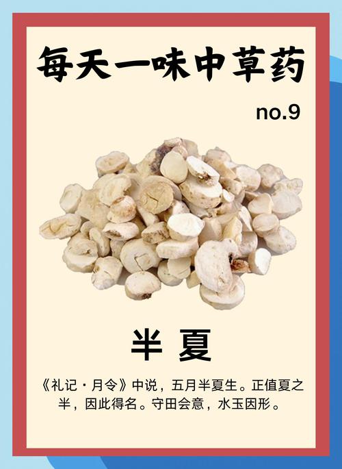 半夏种植技术及亩收益:从选种到采收的完整实操指南 6. 缓苗管理
