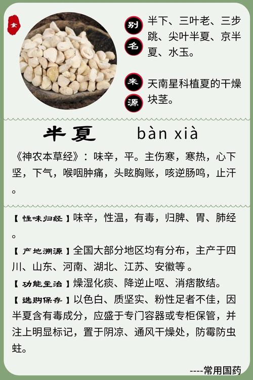 半夏种植技术及亩收益:从选种到采收的完整实操指南 7. 成活注意事项