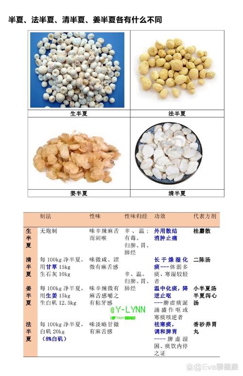 半夏种植技术及亩收益:从选种到采收的完整实操指南 5. 浇定根水实操