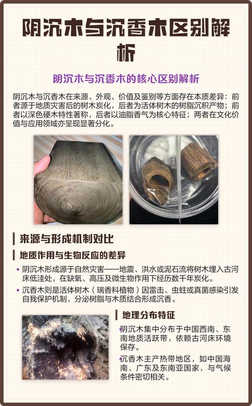 总结