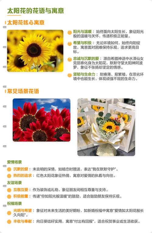 太阳花代表什么意思——从花语寓意到养护全攻略,新手也能四季爆花 太阳花品种基础档案