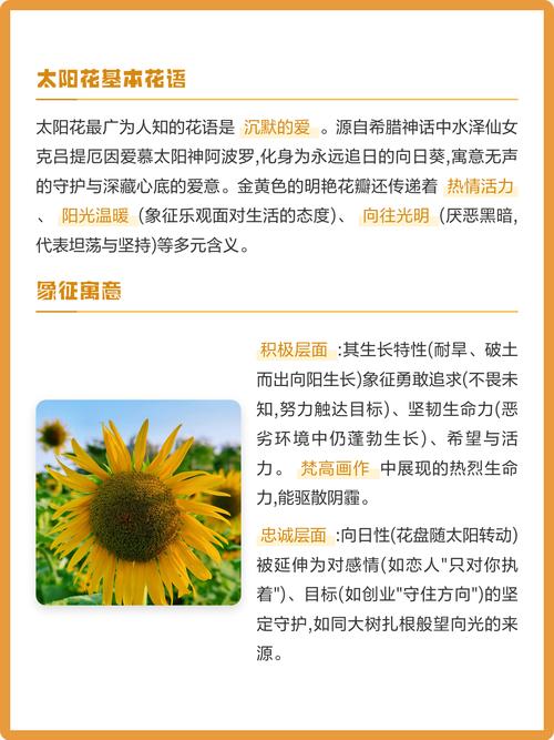 太阳花代表什么意思——从花语寓意到养护全攻略,新手也能四季爆花 FAQ