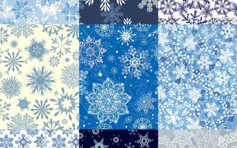 雪花像什么形状又像什么？——从冬雪几何到园艺灵感