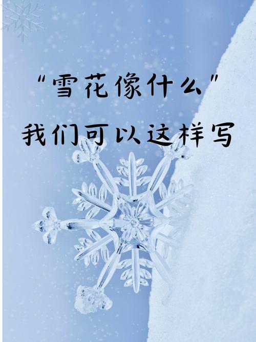 雪花像什么形状又像什么?——从冬雪几何到园艺灵感 冬季养护:让雪花成为花园的装饰而非负担