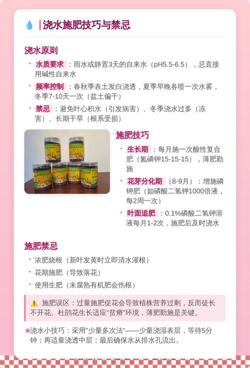 杜鹃花可以在家养吗?家庭养护全攻略与注意事项 三、家庭养护杜鹃花的常见问题