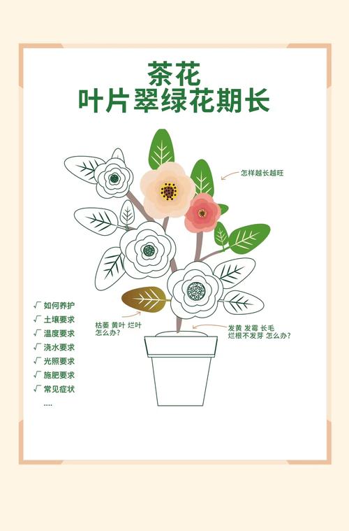 枇杷开花后多少天结果?从谢花到成熟全周期时间表与养护指南 枇杷从开花到结果的关键物候期时间表