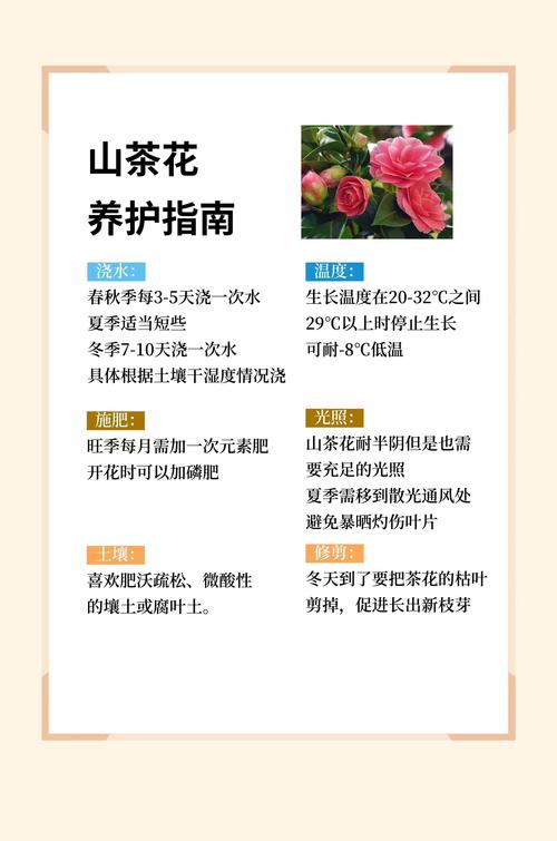 枇杷开花后多少天结果?从谢花到成熟全周期时间表与养护指南 影响枇杷从开花到结果天数的四个关键因素