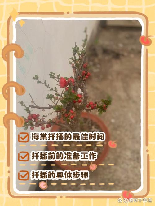 常见误区与纠正