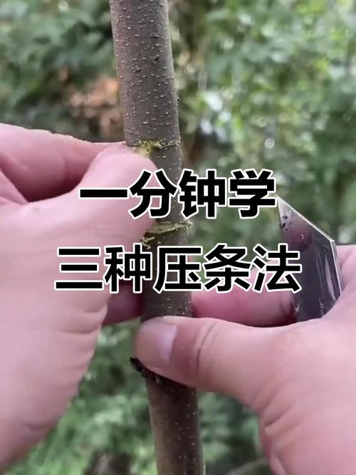 总结