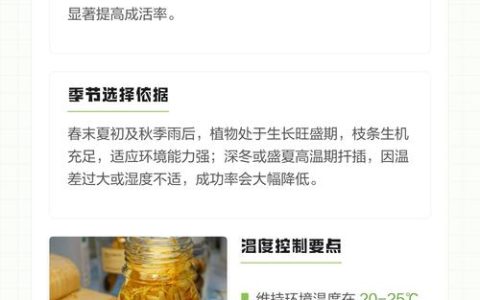 黄角兰可以扦插繁殖吗？白兰嫩枝扦插成活率提升全攻略