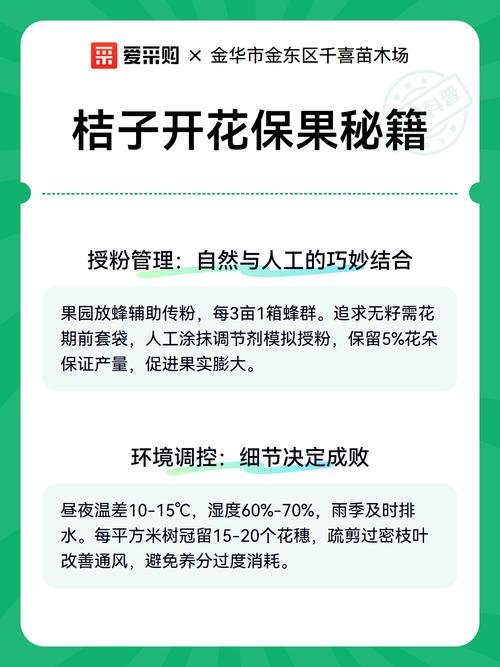 桔子保花保果全攻略:原因分析与实用技术 三、结语