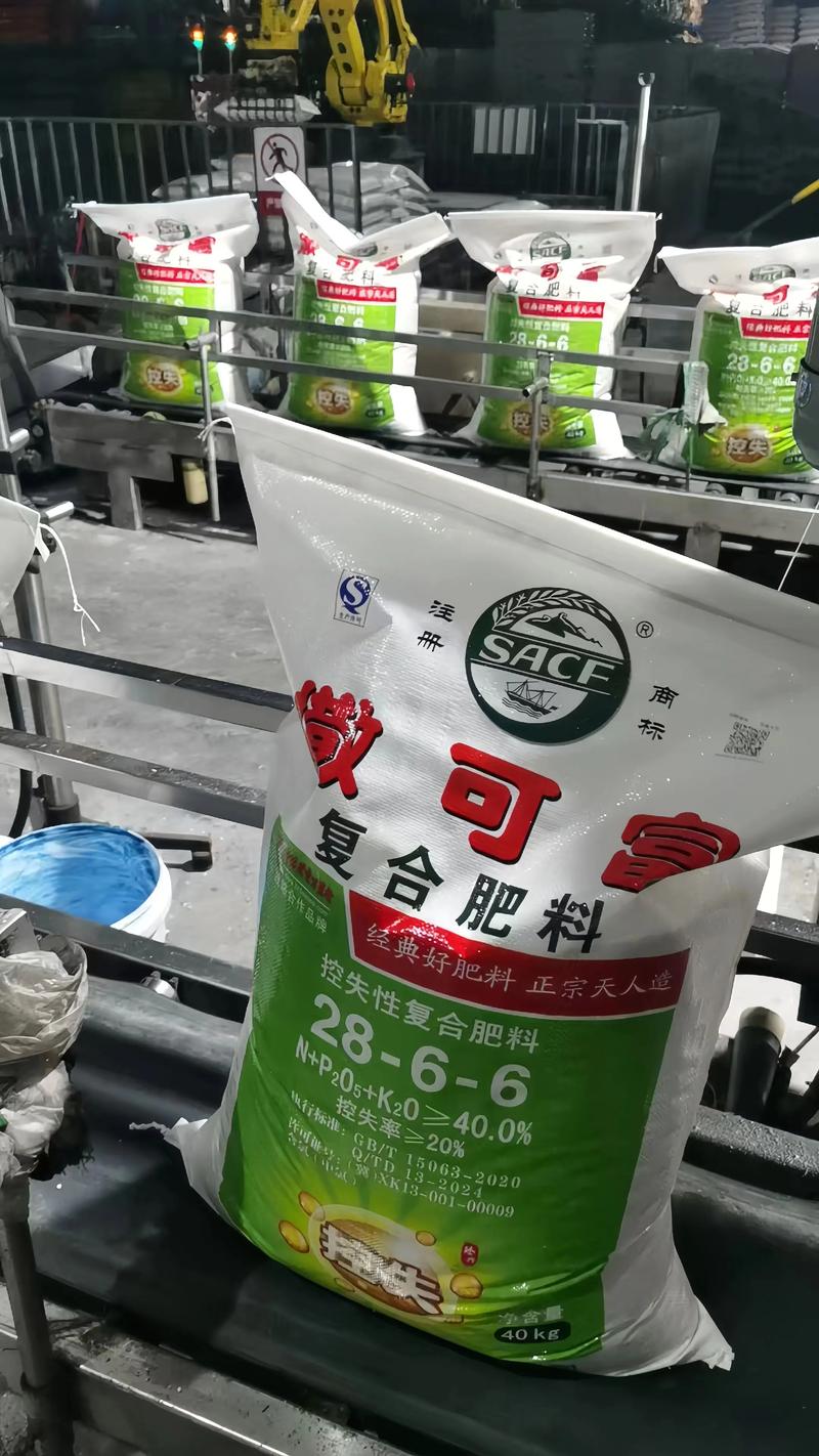 农村种什么能致富?这5种高经济价值作物让你年入数十万 二、羊肚菌:食用菌中的“软黄金”
