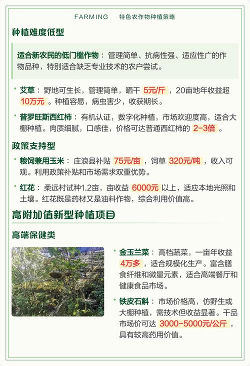 农村种什么能致富?这5种高经济价值作物让你年入数十万 五、观赏盆景:多肉与小微盆景