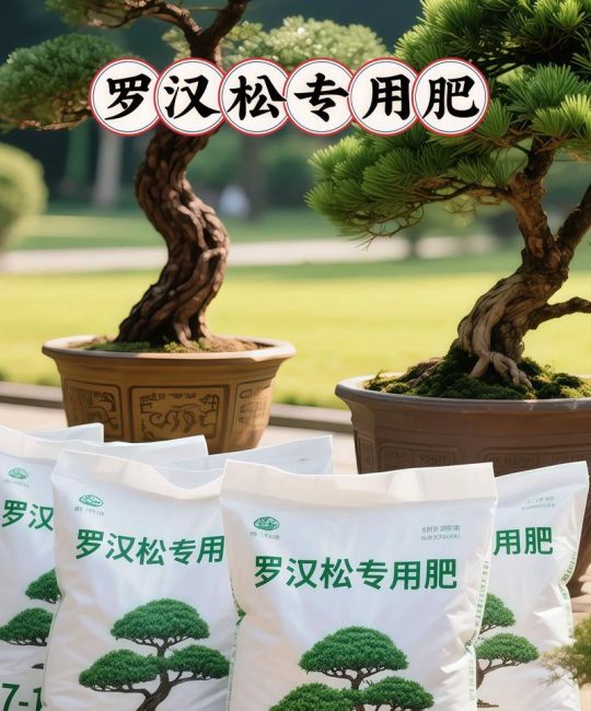 罗汉松用什么土最好？科学配土比例与养护指南