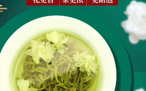 茉莉花植物百科：从一株芬芳灌木到中国顶级花茶的核心密码