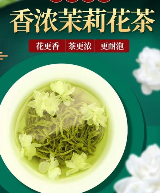 茉莉花植物百科：从一株芬芳灌木到中国顶级花茶的核心密码